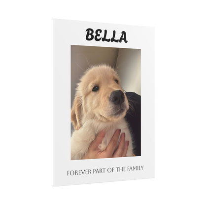 Personalized Pet Photo Poster