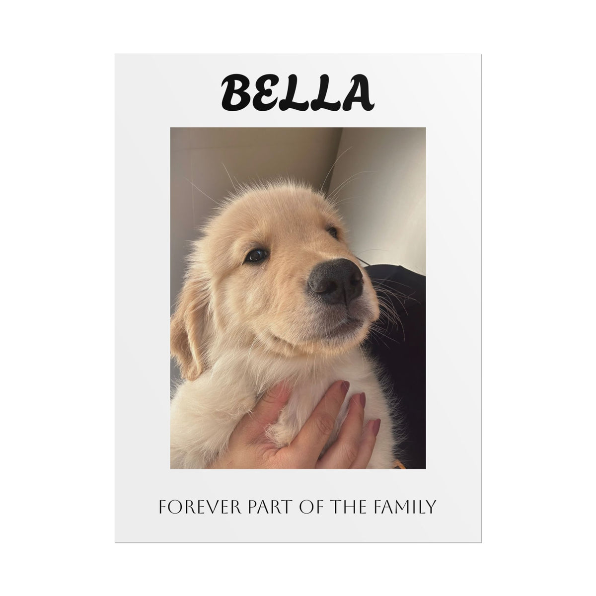 Personalized Pet Photo Poster