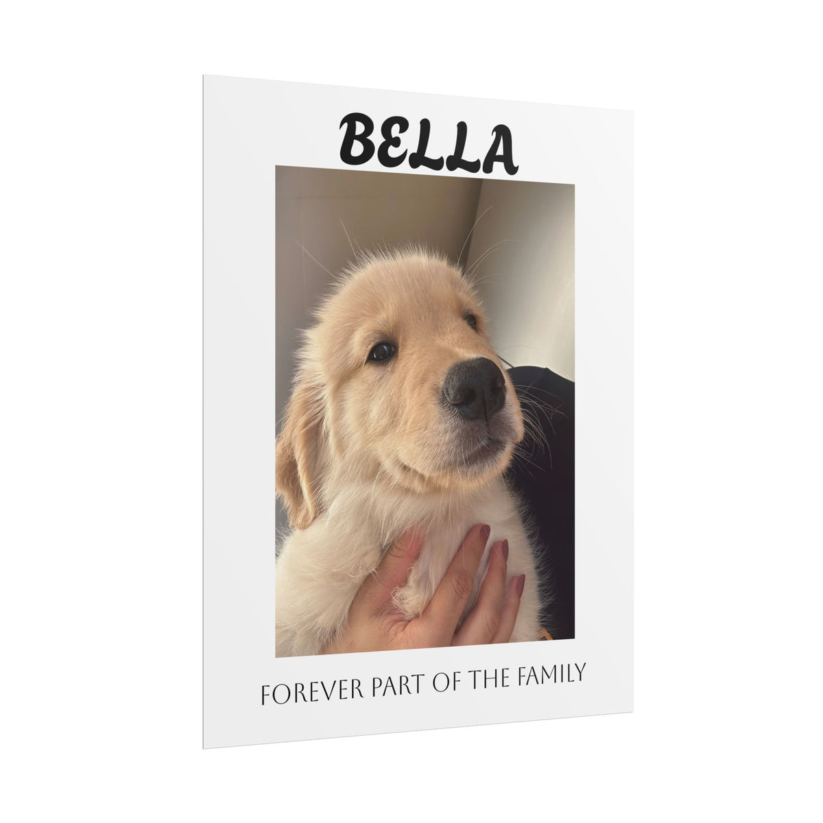 Personalized Pet Photo Poster