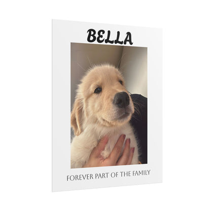 Personalized Pet Photo Poster