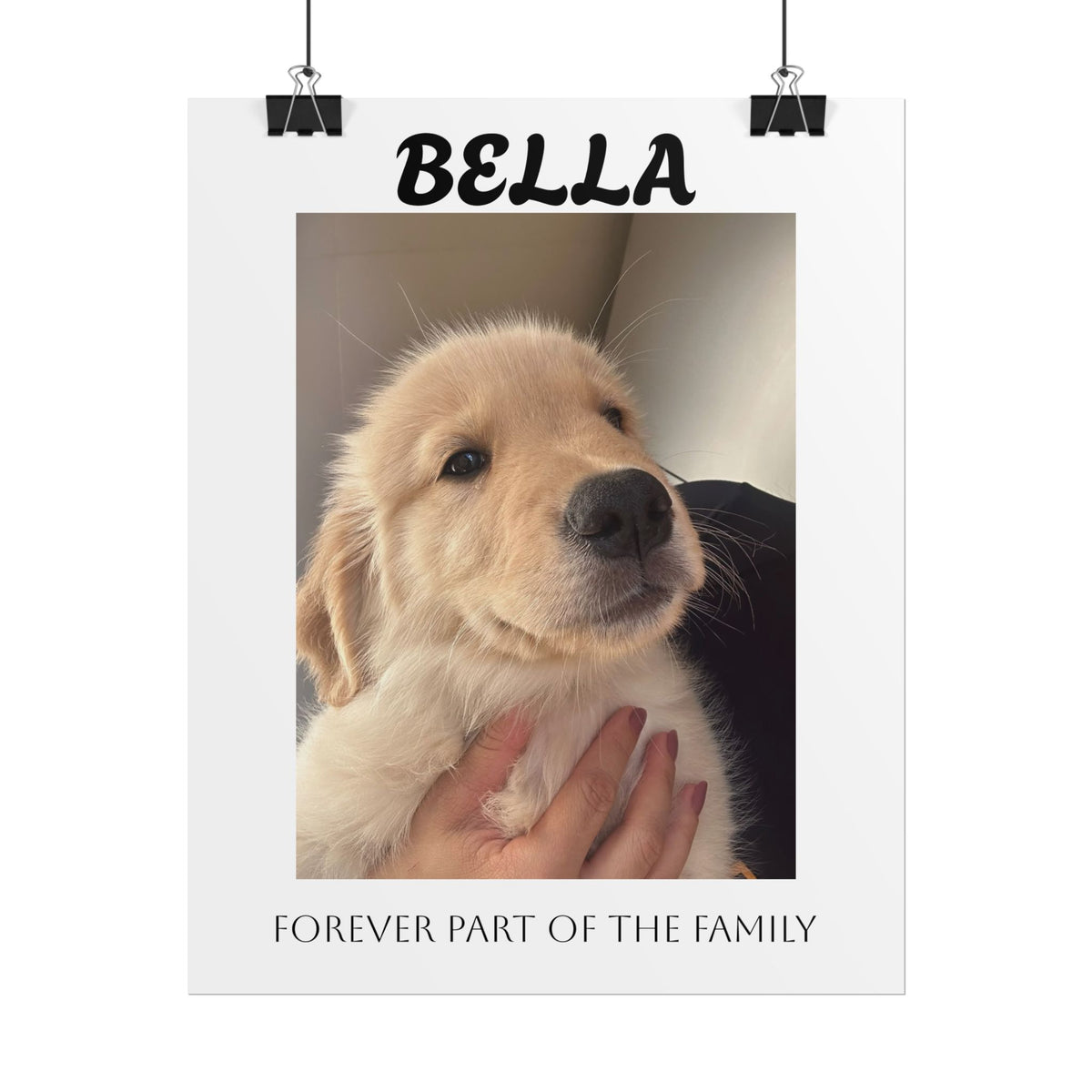 Personalized Pet Photo Poster