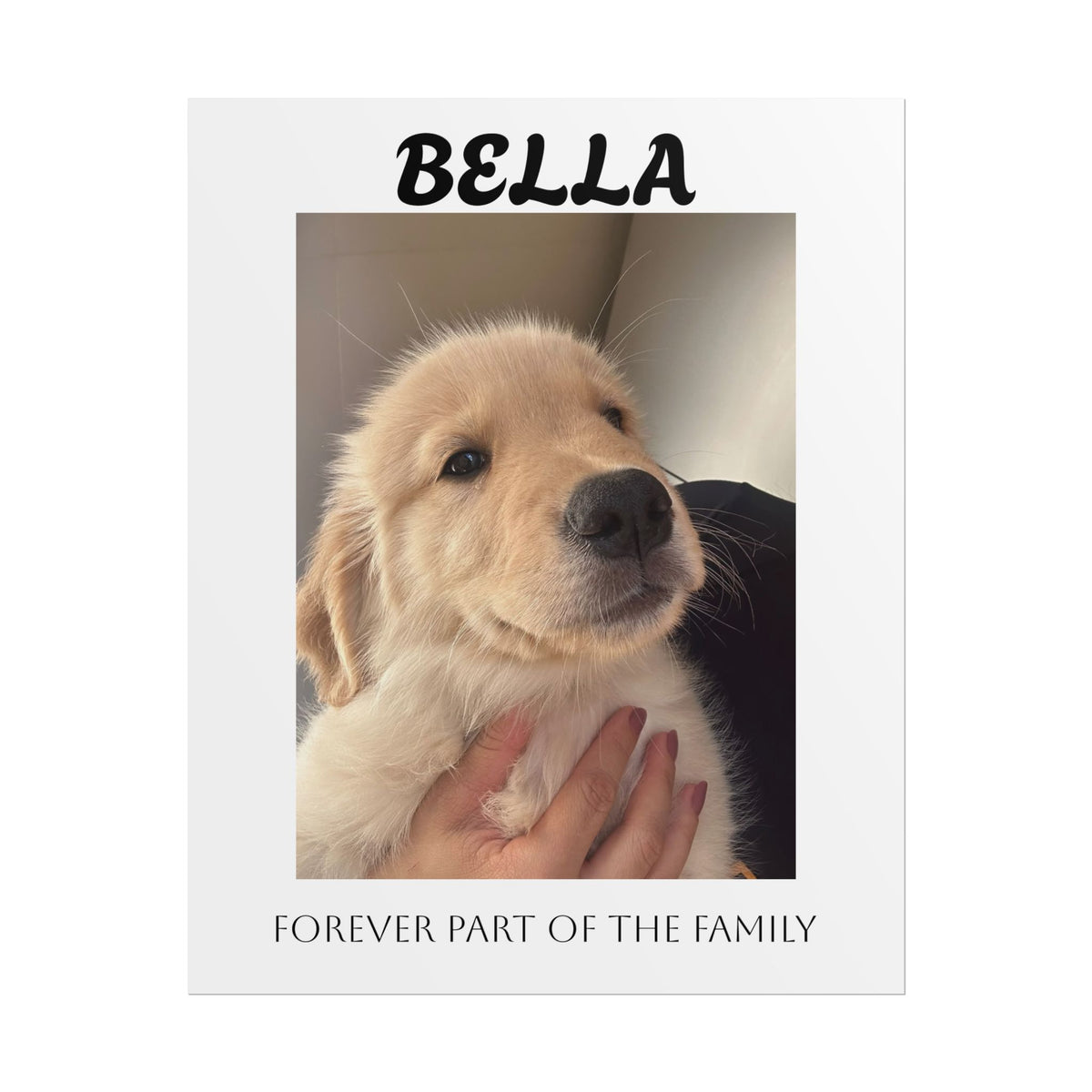 Personalized Pet Photo Poster